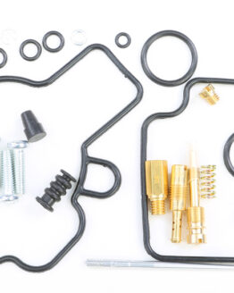 Carburetor Repair Kit