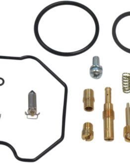 Carburetor Repair Kit