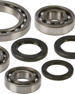 Rear Differential Bearing & Seal Kit
