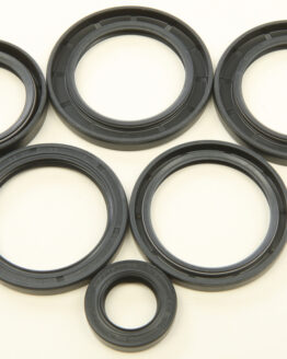 Differential Seal Kit