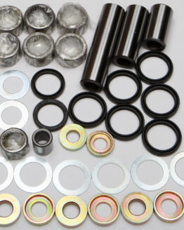 Swing Arm Linkage Bearing & Seal Kit