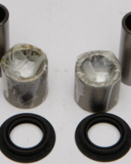 Swing Arm Bearing Kit