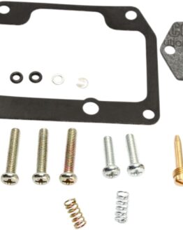 Carburetor Repair Kit