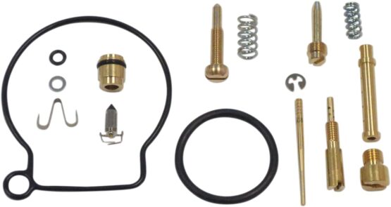 Carburetor Repair Kit