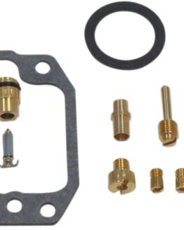 Carburetor Repair Kit