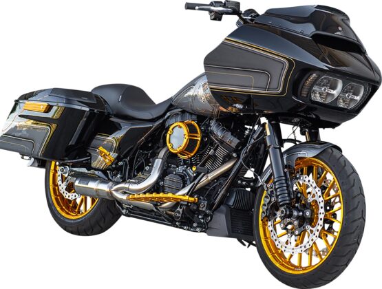 Arlen Ness Gold Fork Tubes 49mm Pair For Harley Touring Models - Image 3