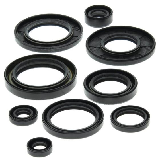 Vertex Oil Seal Kit Fits 87-92 Suzuki LT250R Quadracer