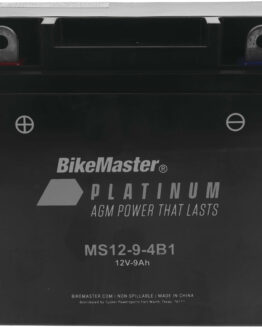 AGM Battery