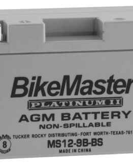 AGM Platinum II Battery