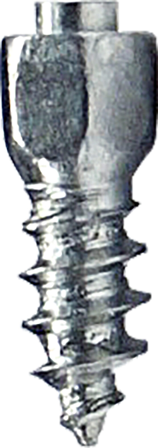 Woodys Grip-It Twist Carbide Screws 13mm 100 Pack with Tool - Image 2