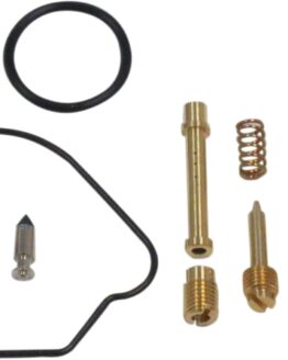 Carburetor Repair Kit
