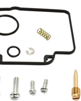 Carburetor Repair Kit