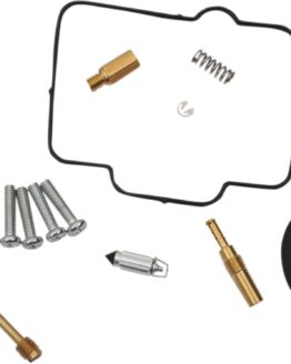 Carburetor Repair Kit
