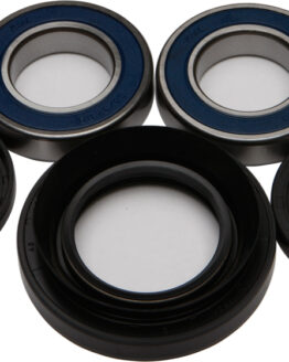 QuadBoss Rear Wheel Bearing & Seal Kit Fits 93-18 Honda TRX90/X/EX