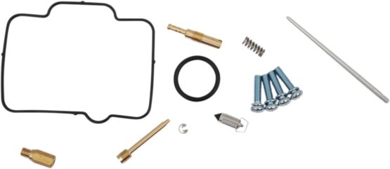 Carburetor Repair Kit