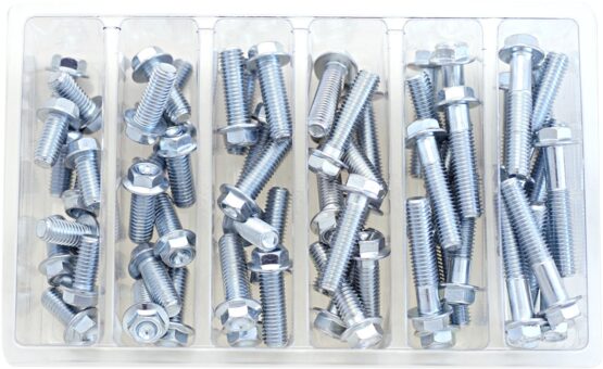 Bolt M8 10mm Hex Flange Bolt Assortment Pack - Silver
