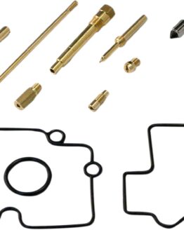 Carburetor Repair Kit