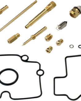 Carburetor Repair Kit