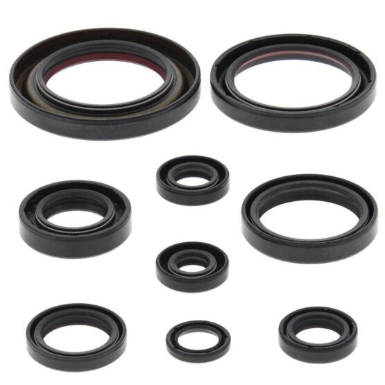 Vertex Oil Seal Kit Fits 06-14 Honda TRX450R/ER