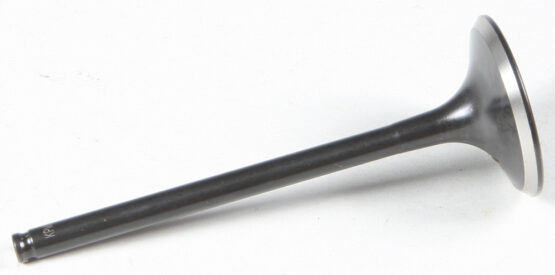 Black Diamond Exhaust Valve