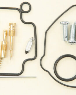 Carburetor Repair Kit