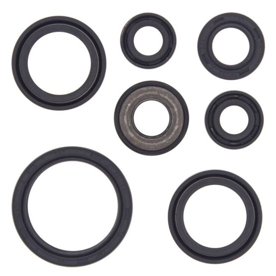 Vertex Engine Oil Seal Kit Fits 01-07 Yamaha YFM660R YXR660