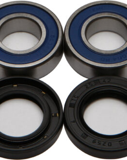 Wheel Bearing & Seal Kit