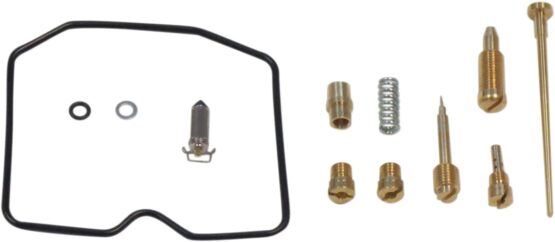 Carburetor Repair Kit