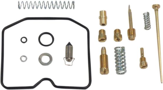 Carburetor Repair Kit