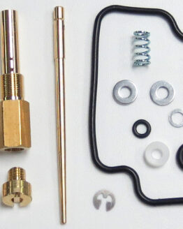Carburetor Repair Kit