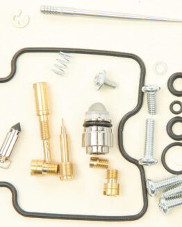 Carburetor Repair Kit
