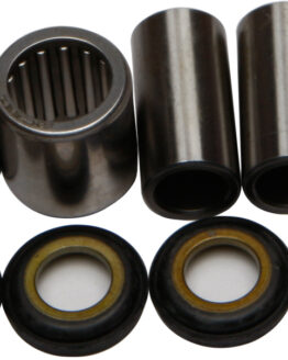Swing Arm Bearing Kit