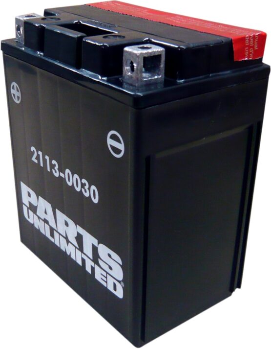 AGM Maintenance Free Battery 210CCA 12V 12Ah