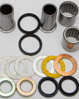 Swing Arm Bearing Kit