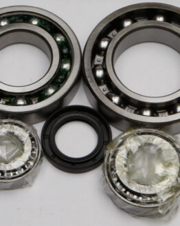 Rear Differential Bearing & Seal Kit