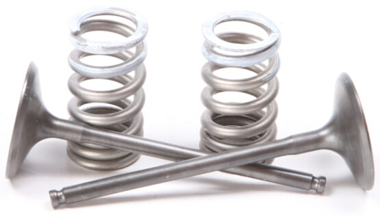 Steel Intake Valve/Spring Kit