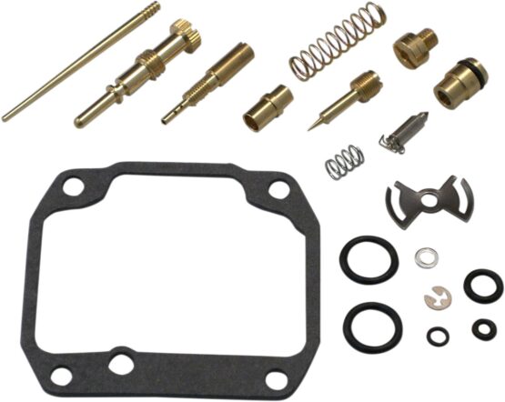 Carburetor Repair Kit