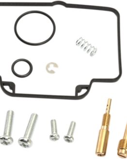 Carburetor Repair Kit