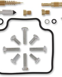Carburetor Repair Kit