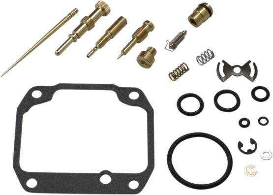 Carburetor Repair Kit