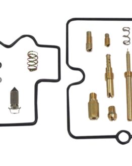 Carburetor Repair Kit
