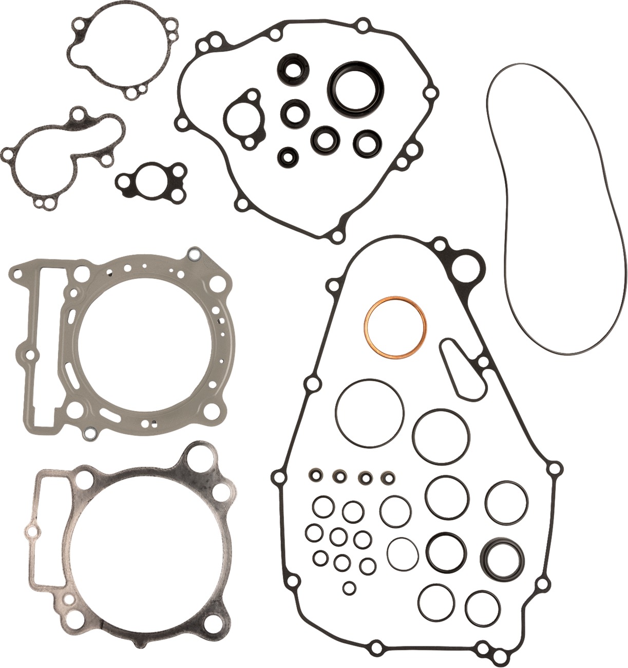 8ED64F3E-6044-4B60-9AA4-85803A0C280D.jpg