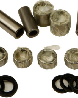 Swing Arm Linkage Bearing & Seal Kit