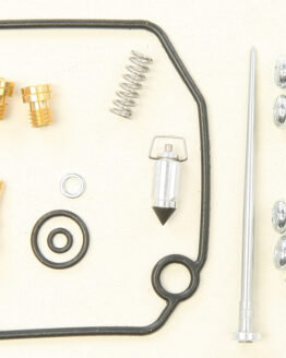 Carburetor Repair Kit