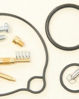 Carburetor Repair Kit