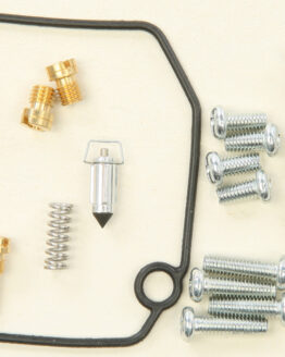 Carburetor Repair Kit