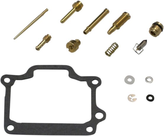 Carburetor Repair Kit