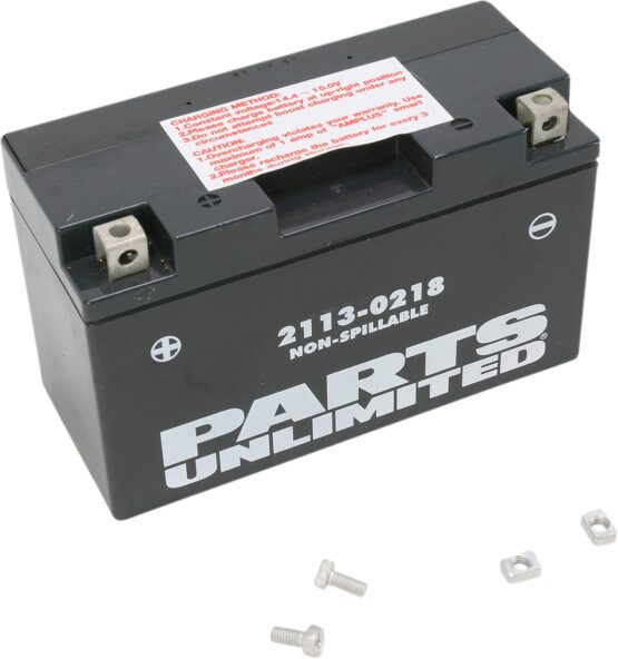 AGM Maintenance Free Battery 120CCA 12V 6.5Ah Factory Activated - Image 2