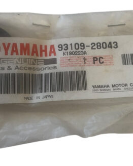 Yamaha Oil Seal For Raptor 660 WR250/450 Riva Majesty