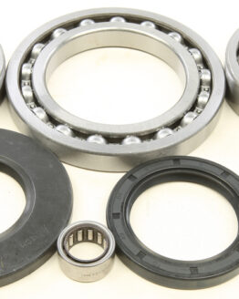 Rear Differential Bearing & Seal Kit